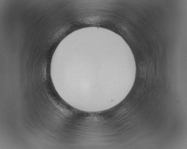 X0000060250404200511241406