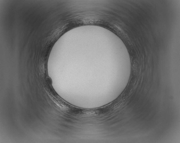 X0000060250405200511241406