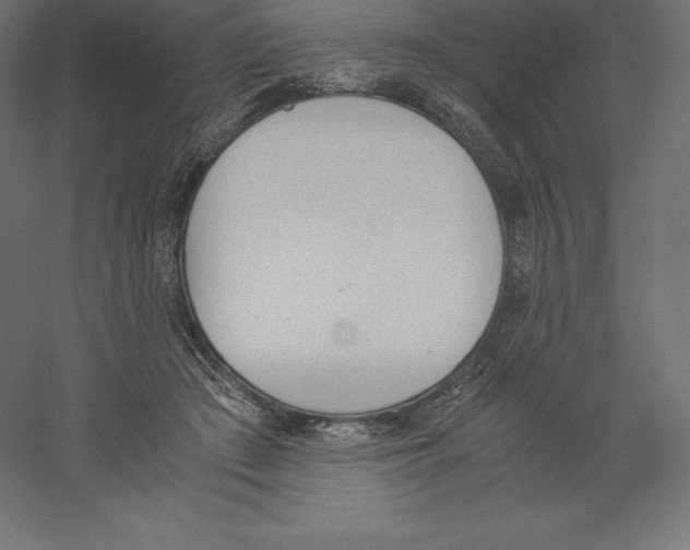 X0000060250409200511241406