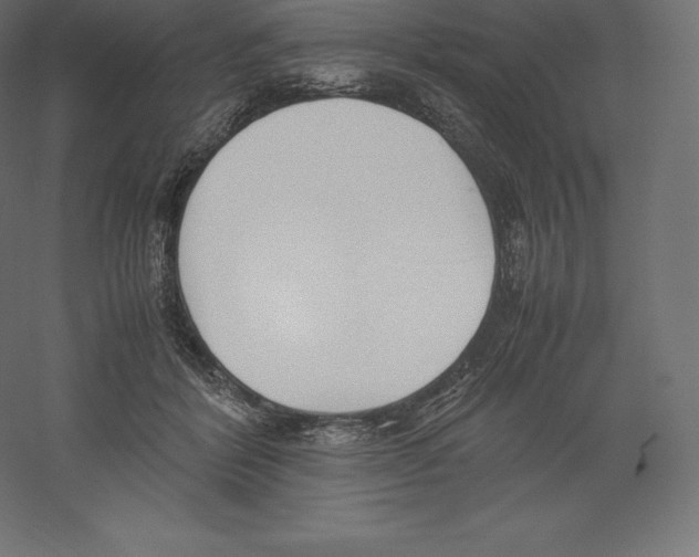 X0000060250412200511241406