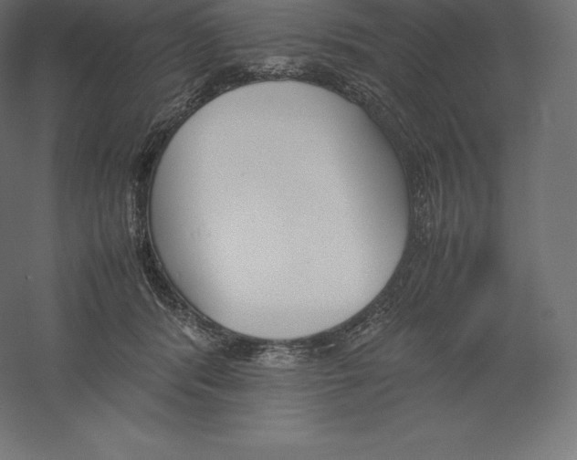 X0000060250416200511241406