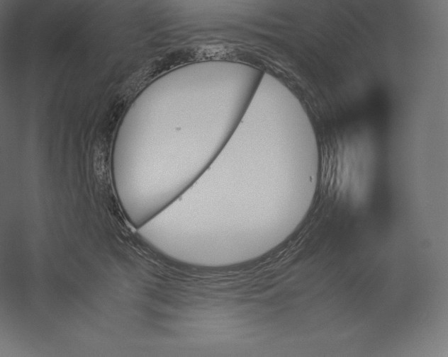X0000060250417200511241406