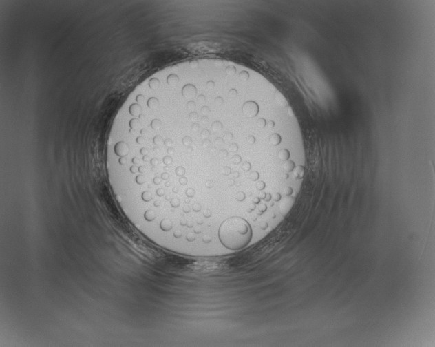 X0000060250418200511241406