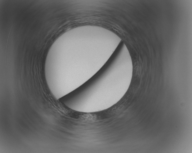 X0000060250421200511241406