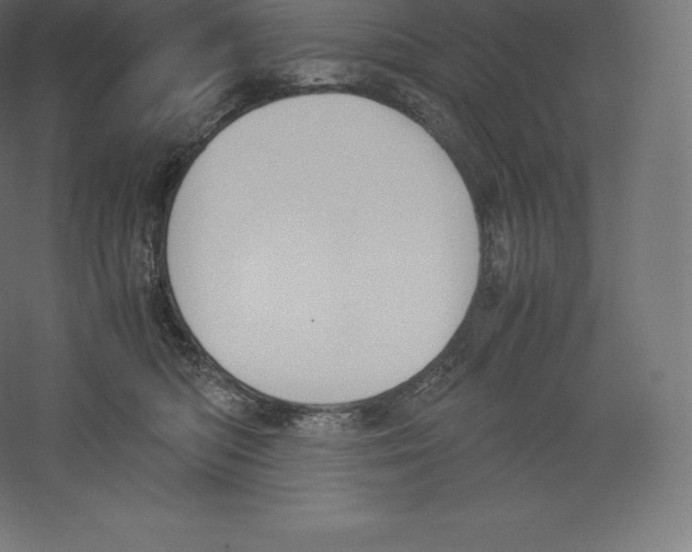 X0000060250422200511241405
