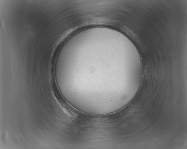 X0000060250436200511241405