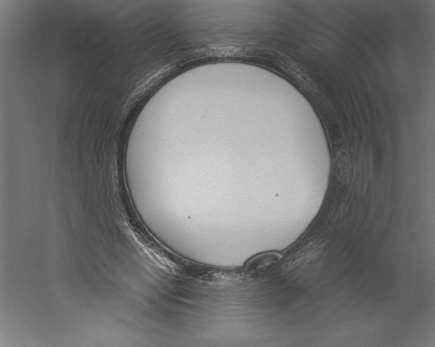 X0000060250442200511241405