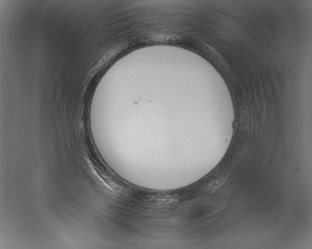 X0000060250443200511241405