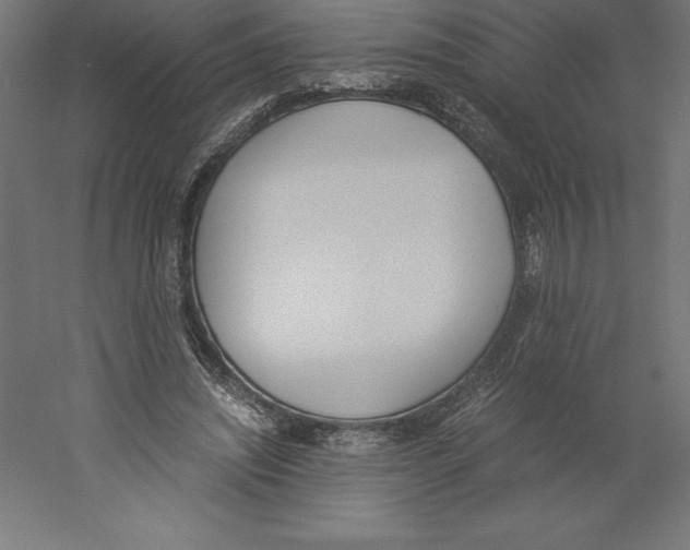 X0000060250444200511241405