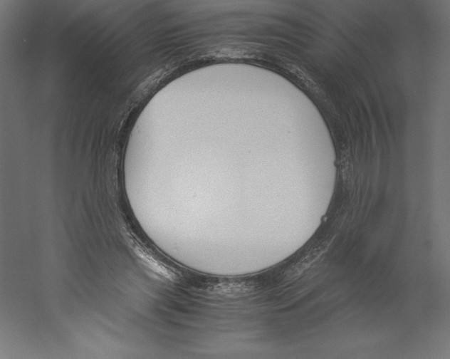 X0000060250445200511241405