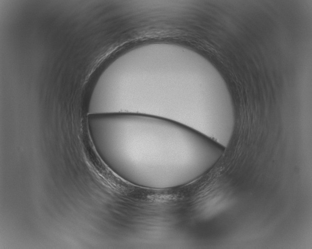 X0000060250448200511241405