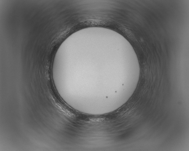 X0000060250450200511241405