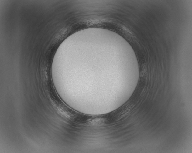X0000060250452200511241405