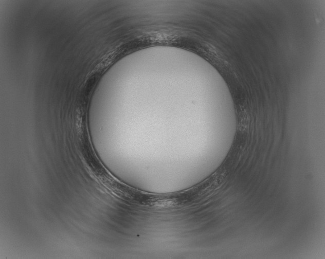 X0000060250456200511241405