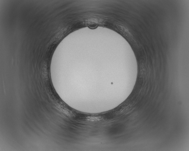 X0000060250457200511241405