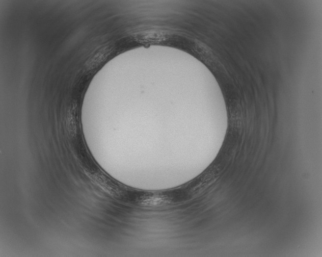 X0000060250460200511241405