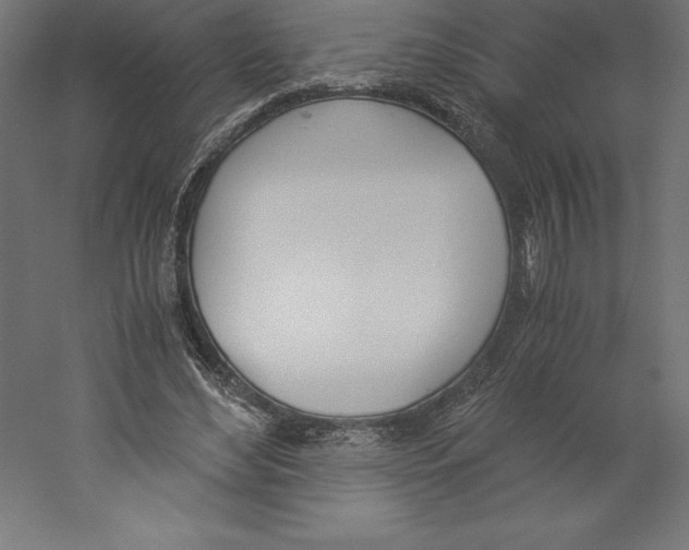 X0000060250492200511241404