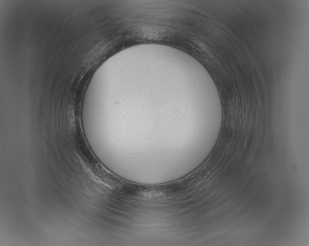 X0000060250500200511241404