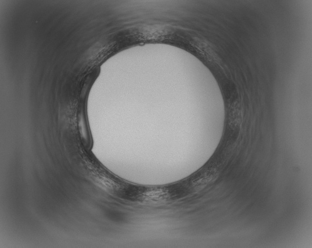 X0000060250505200511241404