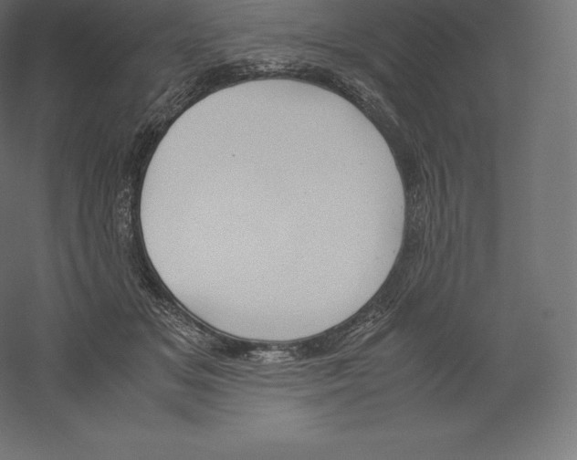X0000060250509200511241404