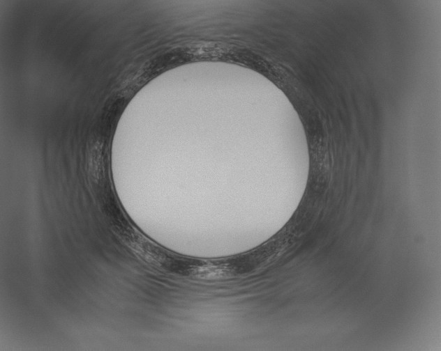 X0000060250511200511241404