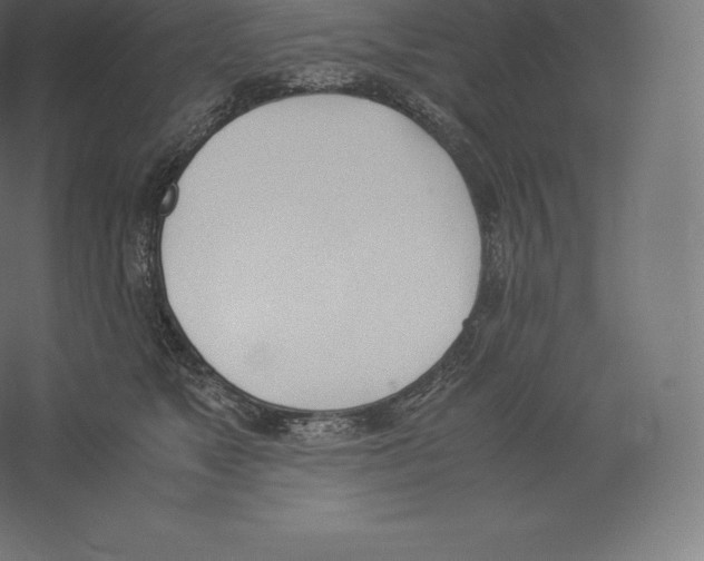 X0000060250517200511241404