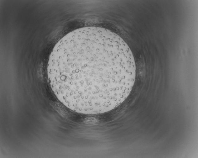 X0000060250519200511241404