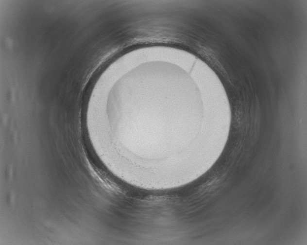 X0000060250534200511241403