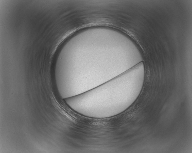 X0000060250535200511241403