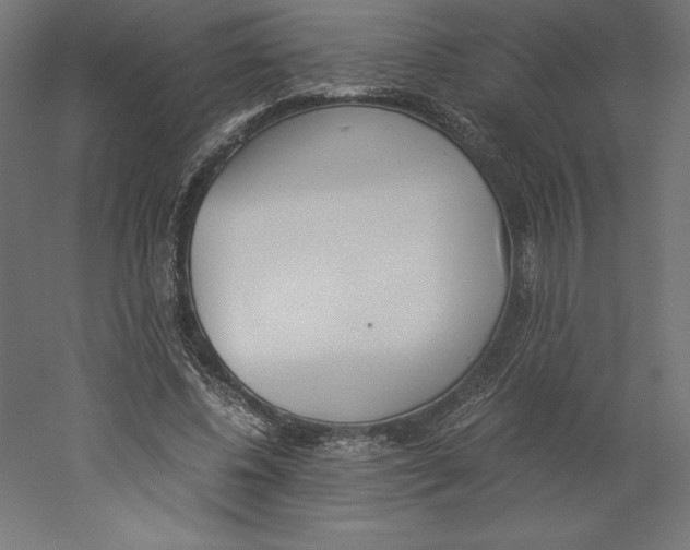 X0000060250540200511241403