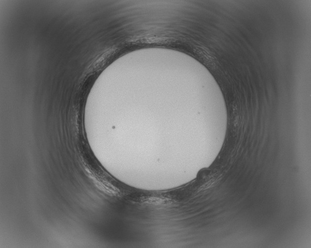 X0000060250542200511241403