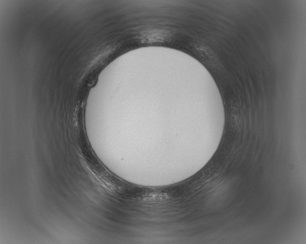 X0000060250543200511241403