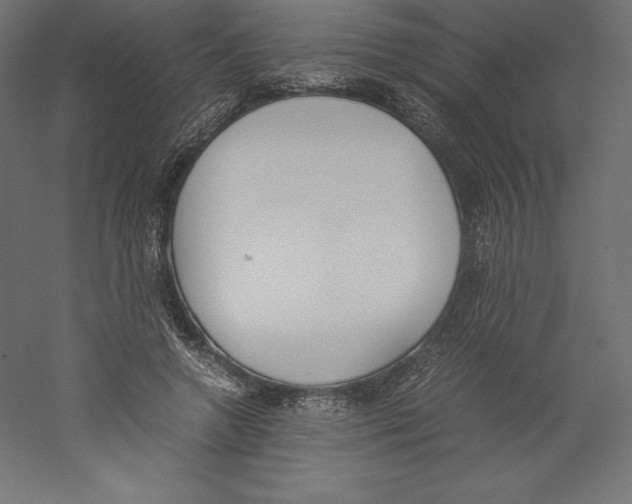 X0000060250546200511241403