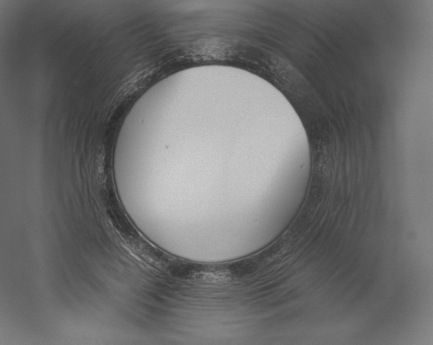 X0000060250548200511241403