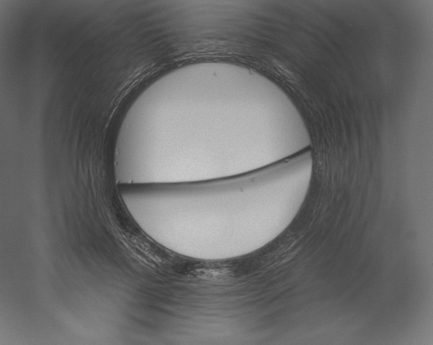 X0000060250552200511241403