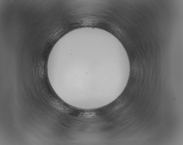 X0000060250554200511241403