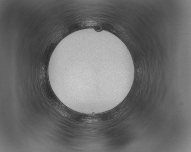 X0000060250555200511241403