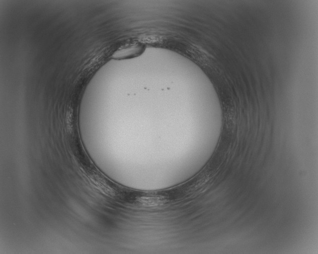 X0000060250556200511241403