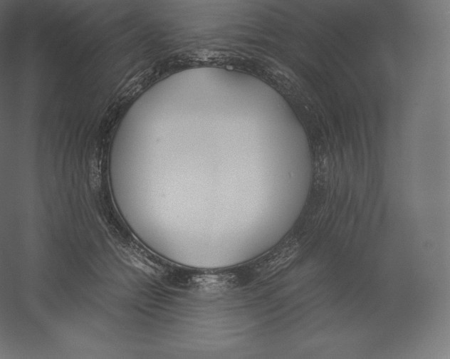 X0000060250558200511241403