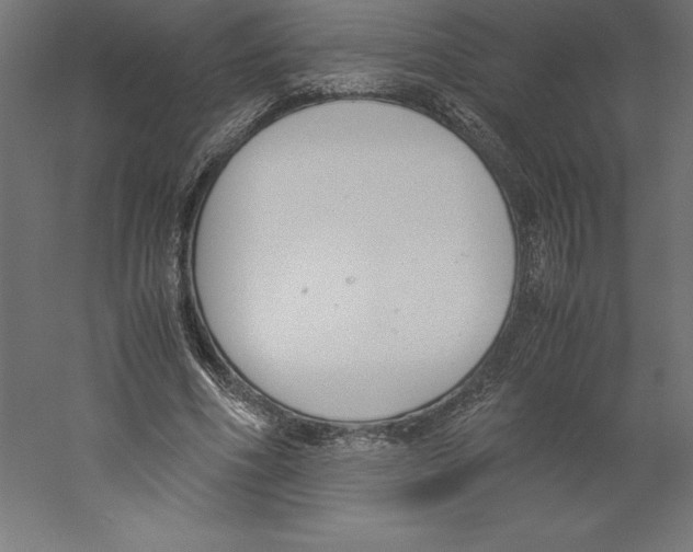 X0000060250586200511241403