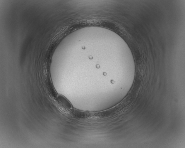 X0000060250593200511241402