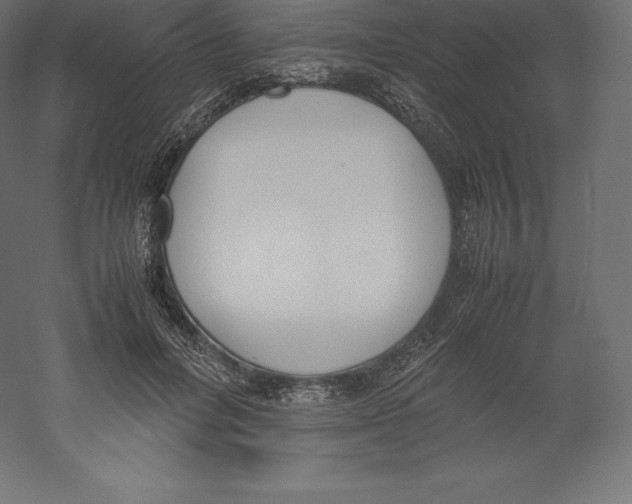 X0000060250600200511241402