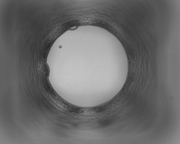 X0000060250601200511241402