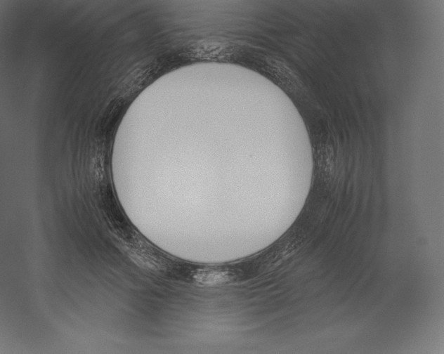 X0000060250602200511241402