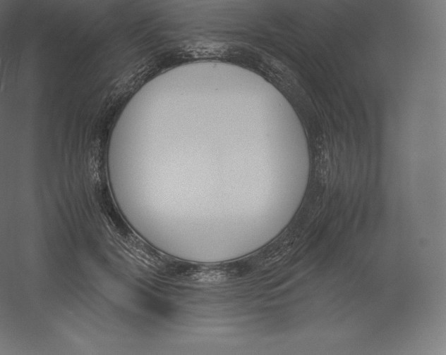 X0000060250604200511241402