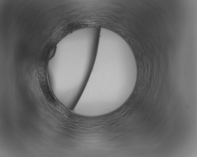 X0000060250609200511241402