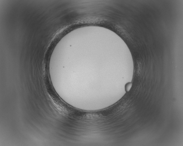X0000060250636200511241401