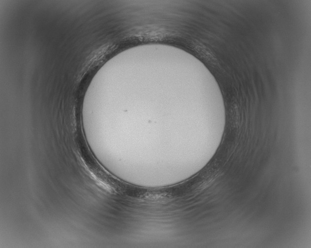 X0000060250638200511241401