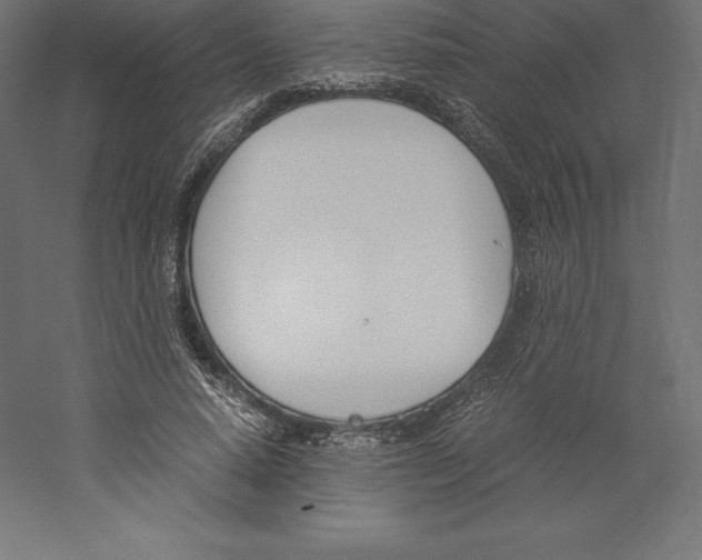 X0000060250640200511241401