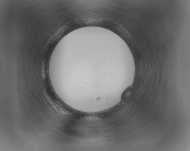 X0000060250644200511241401